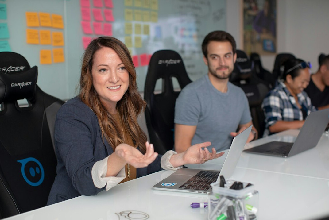 corporate software development team