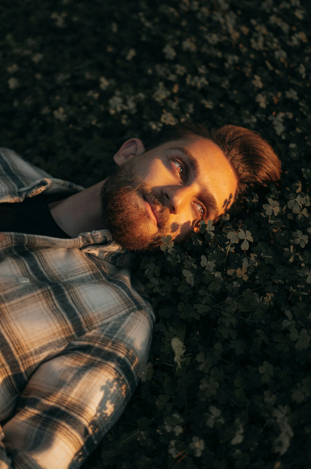 Portrait of a bearded man in casual shirt